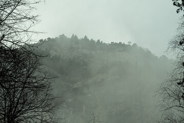 Foggy mountain cliff with trees in soft morning mis © Marco
