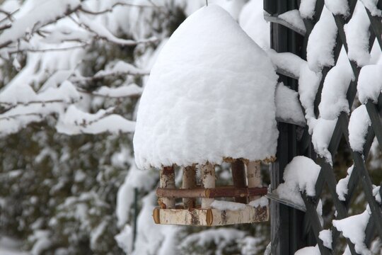 Powr&oacute;t zimy wiosną