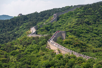Fototapeta premium The Great Wall of China winds across the lush green mountains of Badaling under a clear blue sky.