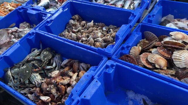 Enschede, Holland, 14.03.2026 Saturday market, with fish and agricultural products