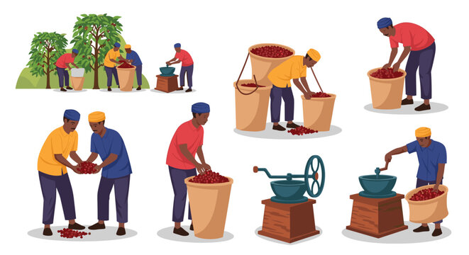 Diverse scenes of workers harvesting and processing coffee beans using traditional tools and large baskets in a sunny plantation.