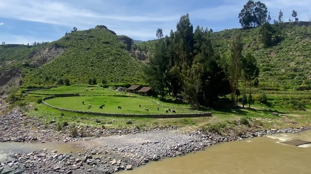 Colca Canyon, a river canyon one of the world's deepest, 
Arequipa, Arequipa, Peru
