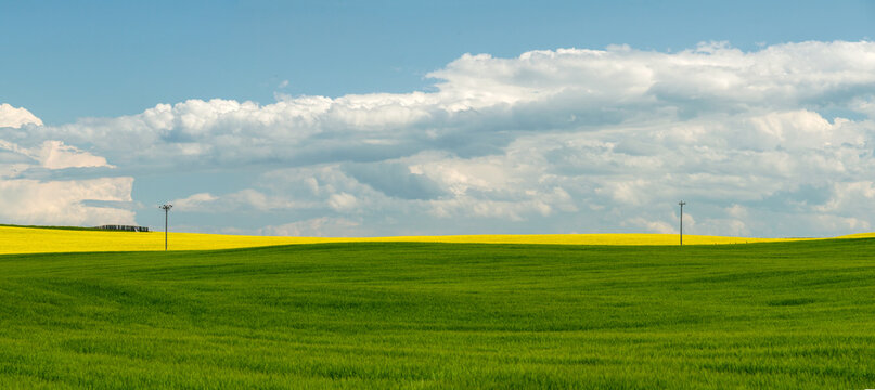 Canada, Alberta, Calgary.  North of Calgary