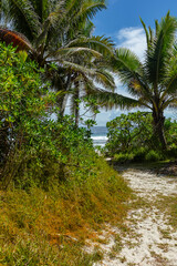 Obraz premium Chemin sableux qui mène à la plage en Polynésie