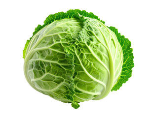 Fototapeta premium Vibrant green, fresh cabbage with ruffled outer leaves and tightly packed head