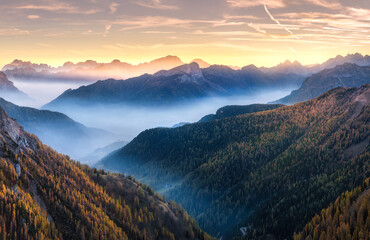 Naklejka premium Mountains in low clouds at sunset in autumn in Dolomites, Italy. Landscape with misty alpine mountains, orange trees in fall, colorful sky with golden sunbeams. Aerial. Panorama. Italian Alps in fog