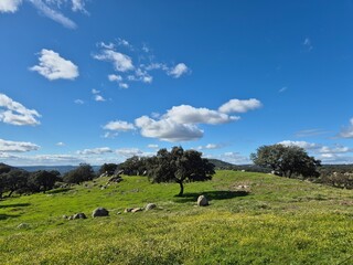Obraz premium Ruta de senderismo en el Sierra Morena, Andujar