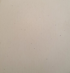 Fototapeta premium grey cardboard texture background