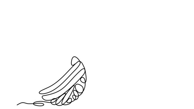 Animated self drawing of continuous line draw of chaos and butterfly. Metaphor of disorganized difficult problem found solution.  Full length one line animation. 4K