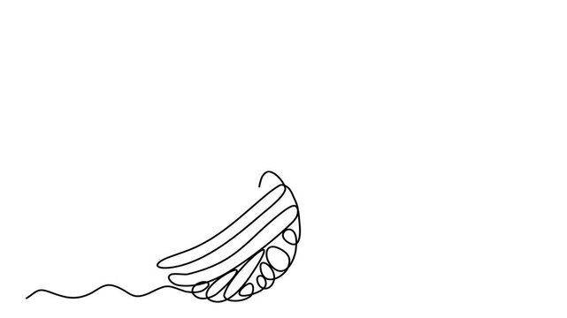 Animated self drawing of continuous line draw of chaos and butterfly. Metaphor of disorganized difficult problem found solution.  Full length one line animation. 4K