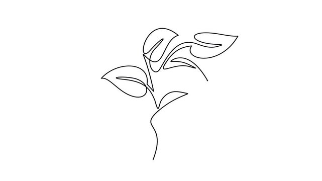 Animated self drawing of continuous line draw of hand holding plant with leaf.  Full length one line animation. 4K