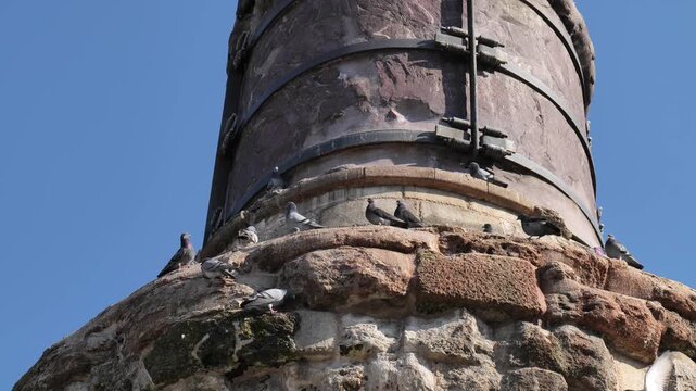 Pigeons on Historical Column of Constantine Cemberlitas in Istanbul