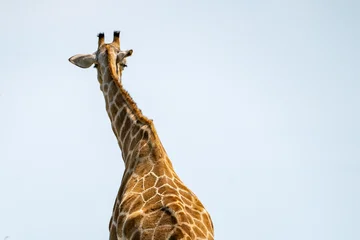 Etosha, Namibia © EivindOAsskildt