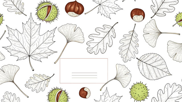 Autumn themed background featuring hand drawn sketches of various leaves and chestnuts arranged around central white frame for text.