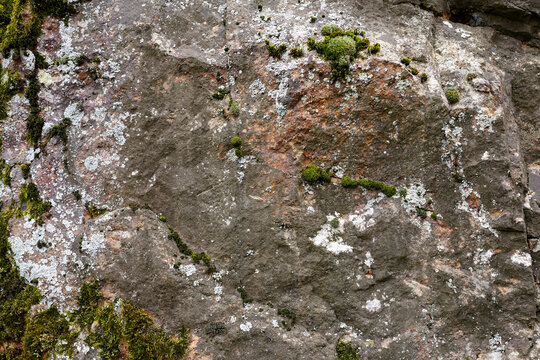 Rough stone surface with patches of green moss and white lichen, natural rock texture
