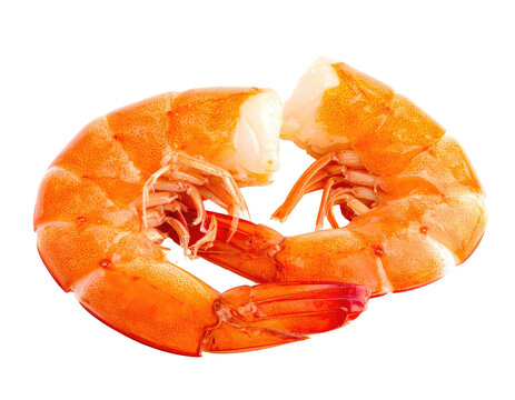 Two peeled, cooked, and curled shrimp halves on a white background