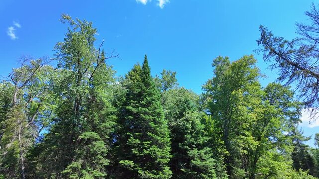 Eels Creek river at summer, North Kawartha, Ontario near Bancroft to Upper Stoney Lake area. Scenic waterway parallels Highway 28 and crown land wilderness. Great destination canoe trip activities.