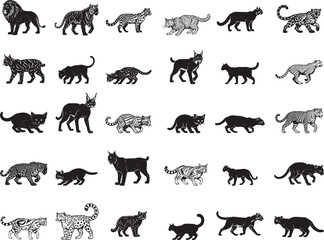 Wild Cat Species Collection Diverse Feline Silhouettes © Ansar