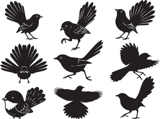 Fototapeta premium Fantail Bird Spread Tail Perched Profile Silhouette