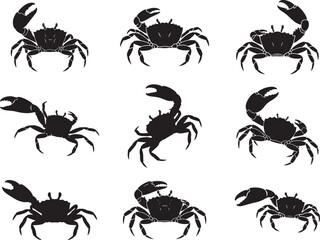 Fiddler Crab Raised Claw Marine Silhouette © Ansar