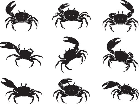 Fiddler Crab Raised Claw Marine Silhouette
