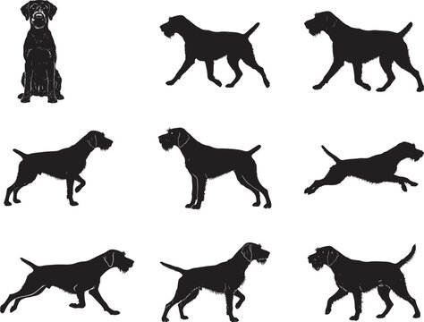 German Wirehaired Pointer Hunting Dog Silhouette