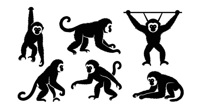 Set of Silhouettes of Gibbons Swinging and Crawling in Various Poses