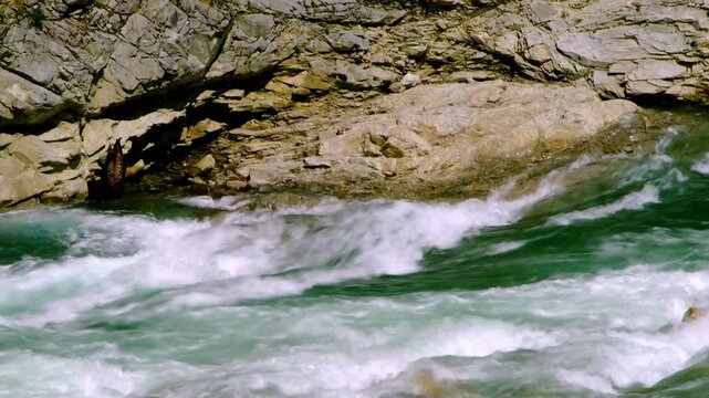 泡立つ渓流の流れ