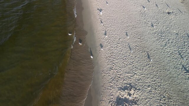 Krynica Morska - Polska - piękny słoneczny dzień miasteczko nagrane dronem, plażą, Zalew Wiślany, morze Bałtyckie, port, piękne widoki