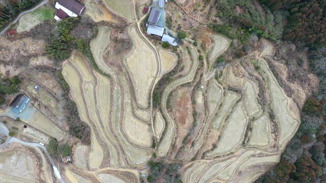 真俯瞰の幾何学：冬の土佐町高須の棚田が描く美しい曲線美 | Abstract Top-down View of Takasu Rice Terraces Pattern Kochi Japan