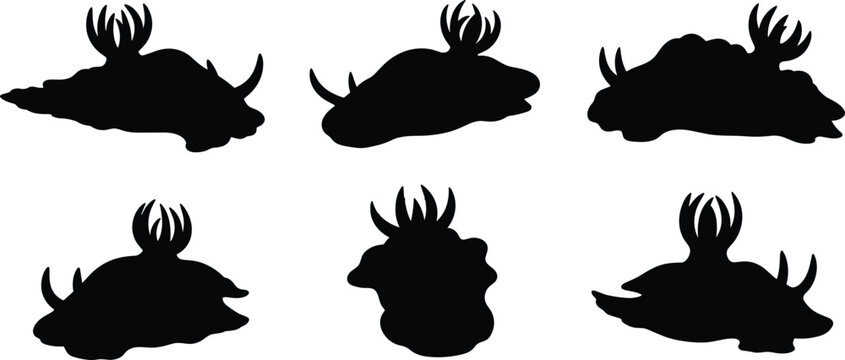 Nudibranch silhouette set. Marine sea slug vector collection with elegant layout and multiple poses. Ocean animal silhouettes isolated for education, infographic, and design use.