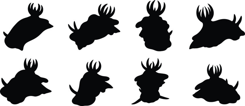 Nudibranch silhouette set. Marine sea slug vector collection with bold shapes and multiple poses. Ocean animal silhouettes isolated for education, branding, and graphic design use.