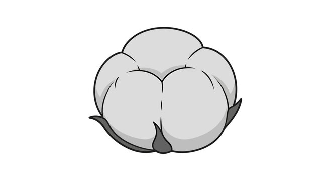 Simple monochrome cotton boll illustration with delicate lines and soft shadows