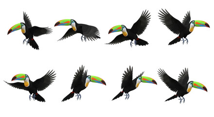 Naklejka premium cartoon toucan bird in flight against white background animation sequence for illustration or design