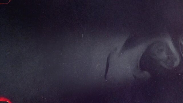 White smoke vapor flowing on black background