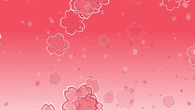 桜 花びら 枠あり 枠中あり 回転 下降 パターン01 紅梅色 ループ（赤色グラデーション背景）