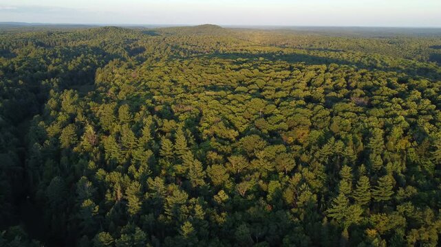 Aerial over expansive wilderness of crown land on a summer afternoon before sunset.in the Tory Hill area of Halliburton Highlands East, in southern Ontario, Canada. 