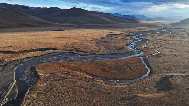 Aerial view of meandering rivers and vast pastures in Western China: Large herds of yaks grazing on the Tibetan Plateau under the sunset
