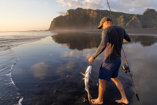 A fisherman displays his catch of the day, a large snapper, on the beach at Karekare Beach in Auckland, New Zealand. He is proud of his success at fishing.