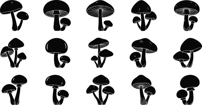 Collection of various mushroom silhouettes and fungus sketches featuring diverse shapes for nature design botanical vector illustrations and forest theme elements cad drawing sets.