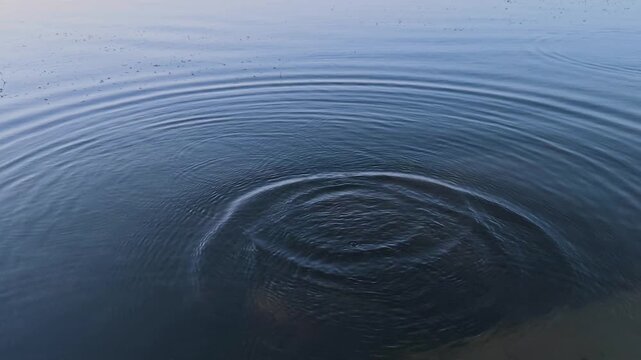 Stone thrown into calm blue river creating beautiful circular ripples