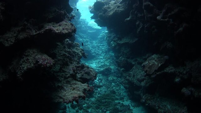 Light falls into an underwater cavern on a coral reef in Fiji. This South Pacific island group harbors high marine biodiversity and is a popular destination for divers and snorkelers.