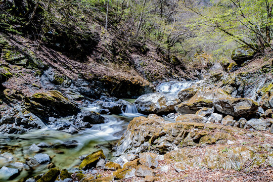 水, 川, 流れ, 自然, たき