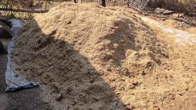 Large pile of wheat husk or straw fodder stored outdoors in a traditional indian rural farm