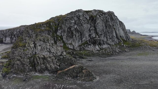 Aerial rises vertically beside a massive basaltic cliff, tilting down to reveal clusters of Gentoo penguins huddling on the dark volcanic landscape of Elephant Point, Antarctica