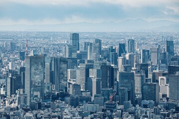 Obraz premium 東京都、東京スカイツリーから眺める都心のビル群