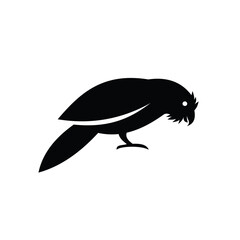 Fototapeta premium Stylized Black Bird Silhouette with White Eye Isolated on White Background