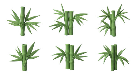 Fototapeta premium various bamboo plants on a white backdrop growth nature asian themes for design and educational purposes