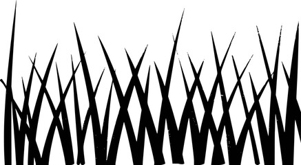 Black silhouettes of sharp pointed grass blades against a white background nature © Abdul