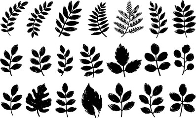 Fototapeta premium Collection of black botanical leaf sprigs and branches with textured brush stroke effect